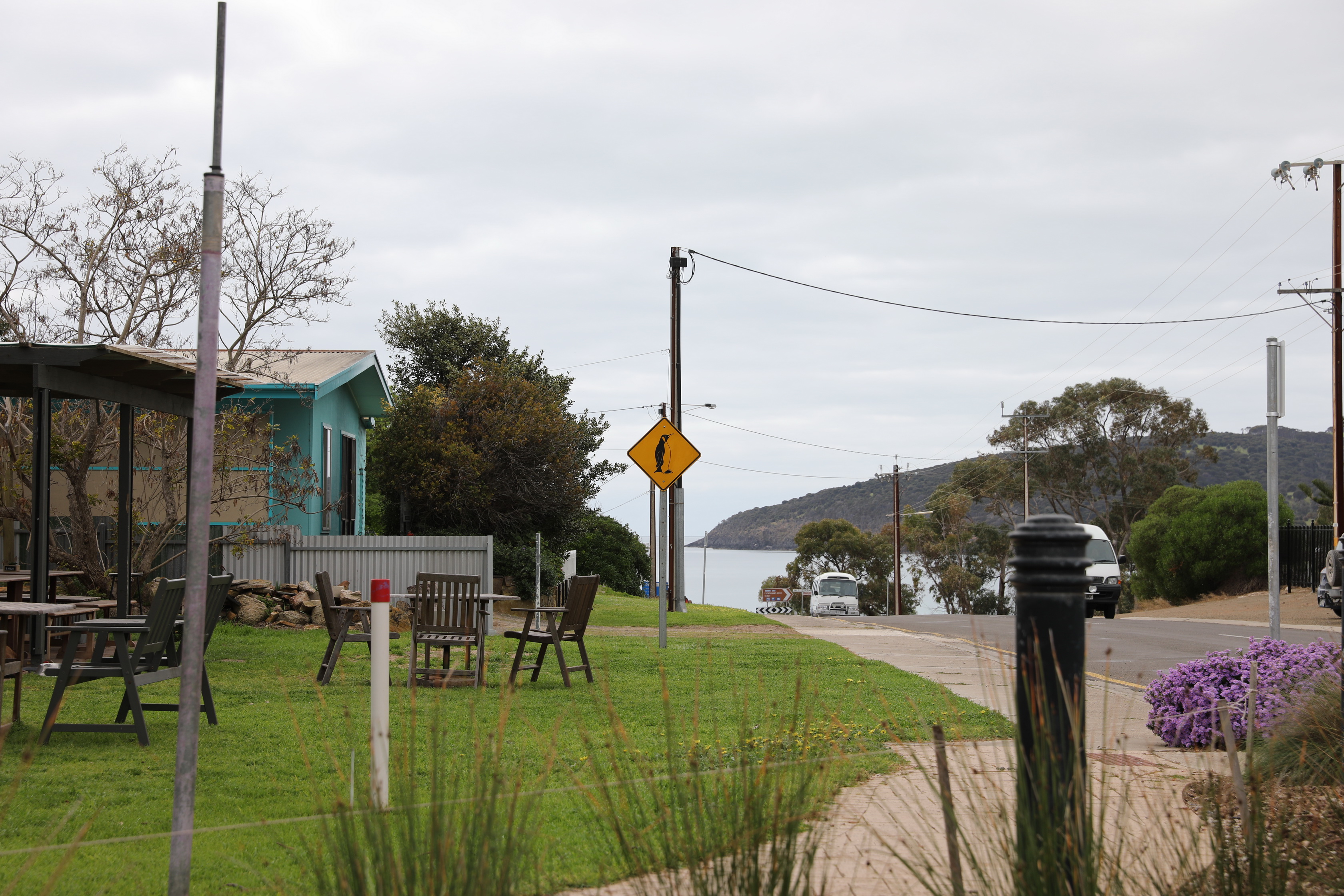 2019 09 29 09 59 51 Canon EOS 5D Mark IV 0015